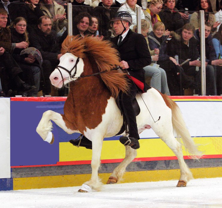 Glámur frá Hofsósi