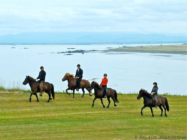 Reidtur-5agust2012-1