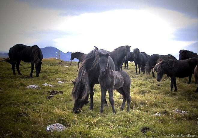 Ágústínus 20020920