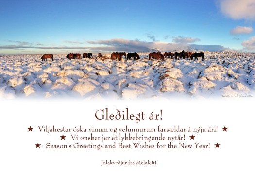 aramot2017viljahestar